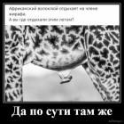 Прикрепленное изображение: жираф.jpg