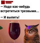 Прикрепленное изображение: Надо встретиться трезвыми.jpg