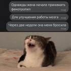 Прикрепленное изображение: Фенотропил.jpg