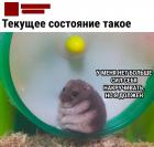 Прикрепленное изображение: Нет больше сил.jpg