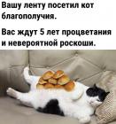 Прикрепленное изображение: Кот благополучия.jpg