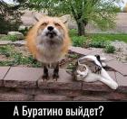 Прикрепленное изображение: 1692282281.jpg