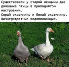 Прикрепленное изображение: 1691935522.jpg