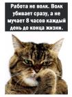 Прикрепленное изображение: Работа не волк.jpg