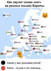 Прикрепленное изображение: Кот на разных языках.jpg