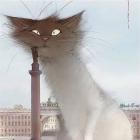 Прикрепленное изображение: yTSlevGrVM8MxzQyKrmwJPnWeIzIGGtd2fMKUmpno5lvHFSLKOXocPQ.jpg