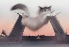 Прикрепленное изображение: Кот и мосты.jpg