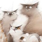 Прикрепленное изображение: Коты.jpg