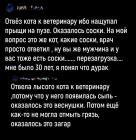 Прикрепленное изображение: 02.jpg