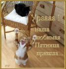 Прикрепленное изображение: 1658241_7d06acd78fcf9f5c.jpg