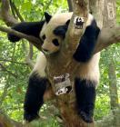 Прикрепленное изображение: 38721608.jpg