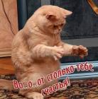 Прикрепленное изображение: 0_534eb_7ebf3a98_L_вот столько тебе счастья.jpg