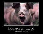 Прикрепленное изображение: 112247_popyachsya-dura-_demotivators_to.jpg