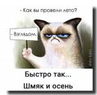 Прикрепленное изображение: Провели лето взглядом.jpg