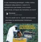 Прикрепленное изображение: mtdiNT6KD4Jnlmke5GUbjU2tjszqzX5NMZKMuphG7wTI_OyQo0BWxCMgXE.jpg