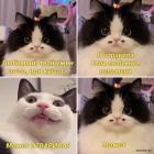 Прикрепленное изображение: 1663321763.jpg