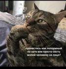 Прикрепленное изображение: Пронестись по хате.jpg