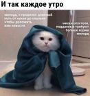 Прикрепленное изображение: Каждое утро.jpg
