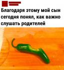 Прикрепленное изображение: Как важно слушать родителей.jpg