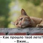 Прикрепленное изображение: Как прошло лето.jpg