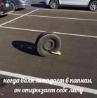 Прикрепленное изображение: Волк в капкане.jpg