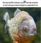 Прикрепленное изображение: Работаешь по 16 часов в день.jpg