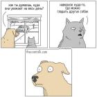 Прикрепленное изображение: Гладить других собак.jpg