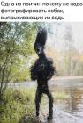 Прикрепленное изображение: Выпрыгивает из воды.jpg