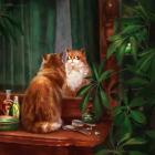 Прикрепленное изображение: 6LCwW57_FcXtcS7M.jpg