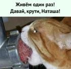 Прикрепленное изображение: hKnPk5nPTAm0f3X_TNLa0DTzYdWwf6bWgOP6V67gUjPHwccpaWCtAz2iViIZ2D2Rr9OFfIY4-MS85NT8yQN777Ie.jpg