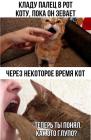 Прикрепленное изображение: Палец в рот коту.jpg