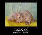 Прикрепленное изображение: 138912_golosuj_demotivators_ru.jpg