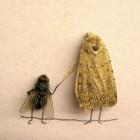 Прикрепленное изображение: photo.jpg