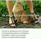 Прикрепленное изображение: IMG-20181015-WA0007.jpg