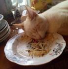 Прикрепленное изображение: 52B3B1CD-69C3-4BB5-9088-3FC381BEEE13.jpeg