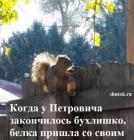 Прикрепленное изображение: 1571570079.jpg