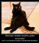 Прикрепленное изображение: IMG_20201014_101005_322.jpg