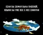 Прикрепленное изображение: Если Земля была бы плоская, кошки бы уже с неё всё скинули.jpg