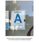 Прикрепленное изображение: таракан на лицензии.jpg