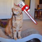 Прикрепленное изображение: 248696008_1416060352129577_7696331076736073787_n.jpg