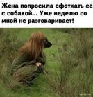 Прикрепленное изображение: 1634717703.jpg