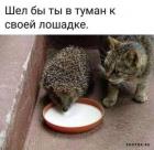 Прикрепленное изображение: 1634717675.jpg