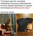 Прикрепленное изображение: Пес опрокинул отбеливатель.jpg