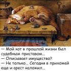 Прикрепленное изображение: Котик - судебный пристав.jpg