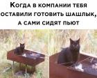 Прикрепленное изображение: Котик готовит шашлык.jpg