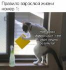 Прикрепленное изображение: Чем реже убираешься.jpg