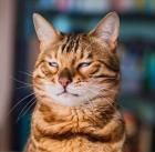 Прикрепленное изображение: xmTmGA-k3QY8qeNLNVCTAFgawW85GK5zdZ57u6wTMha8VyVg_tel2ZBPmgUhBSA1y-zF0_zJEHe2dWTofsp0z5g4.jpg