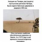 Прикрепленное изображение: 1665773871.jpg