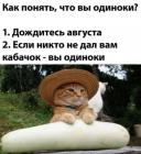 Прикрепленное изображение: Вы одиноки.jpg