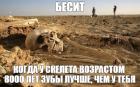 Прикрепленное изображение: У скелета лучше зубы.jpg